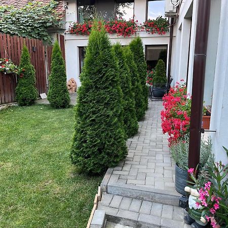 La Podul Cetatii Villa Făgăraş Eksteriør bilde
