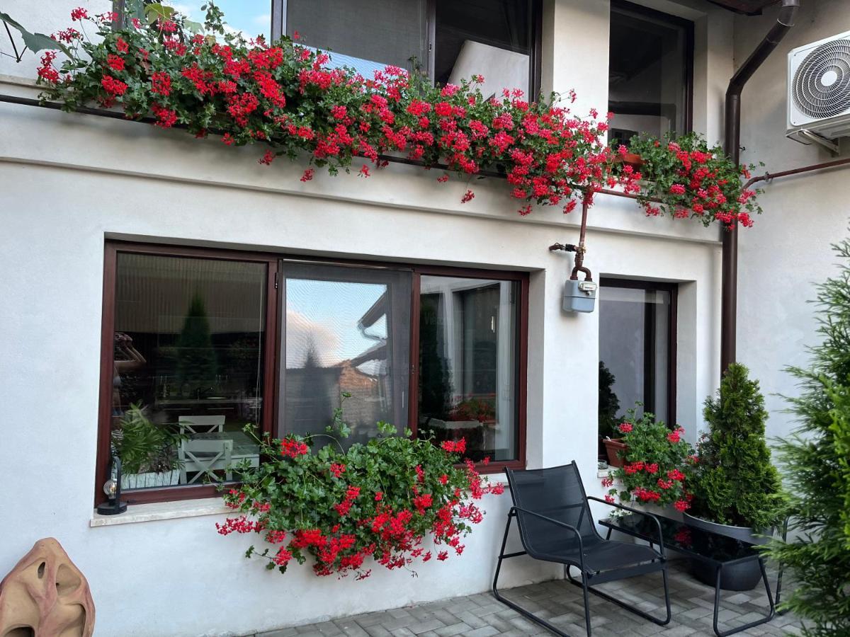 La Podul Cetatii Villa Făgăraş Eksteriør bilde